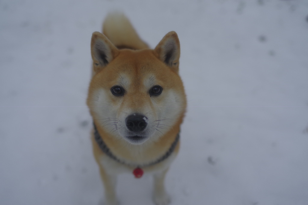 心配してるの