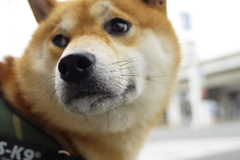 え？僕 入れないの？