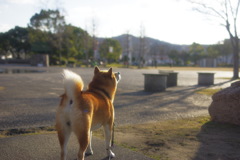 ぶ〜ん