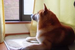 まだ明るいうちに