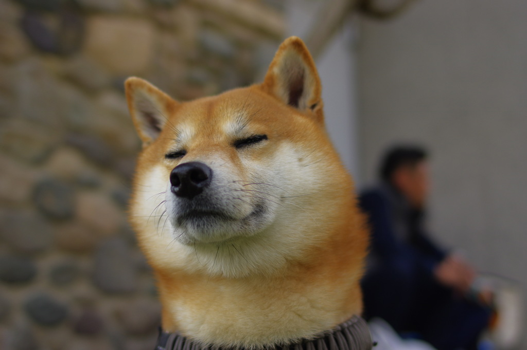 ちーん
