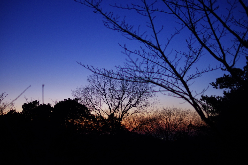 夜の帳が下りてくる
