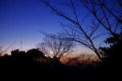 夜の帳が下りてくる