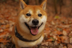 さて…