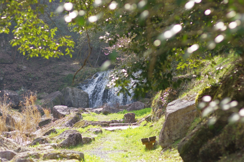 今日のデートコース ฅ^•ﻌ•^ฅ