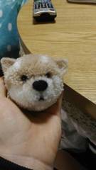 犬ぽんぽん 1号機