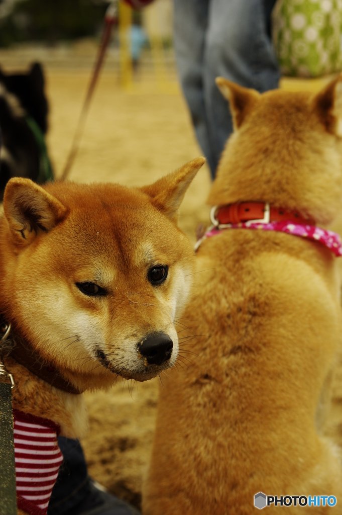 フラれちゃった