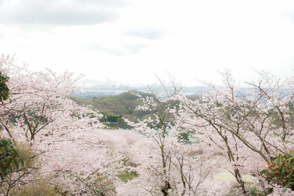 種松山西園地から 其ノ弍