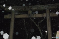星の降る夜
