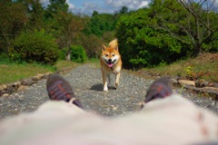 顔でトンちゃんを釣る