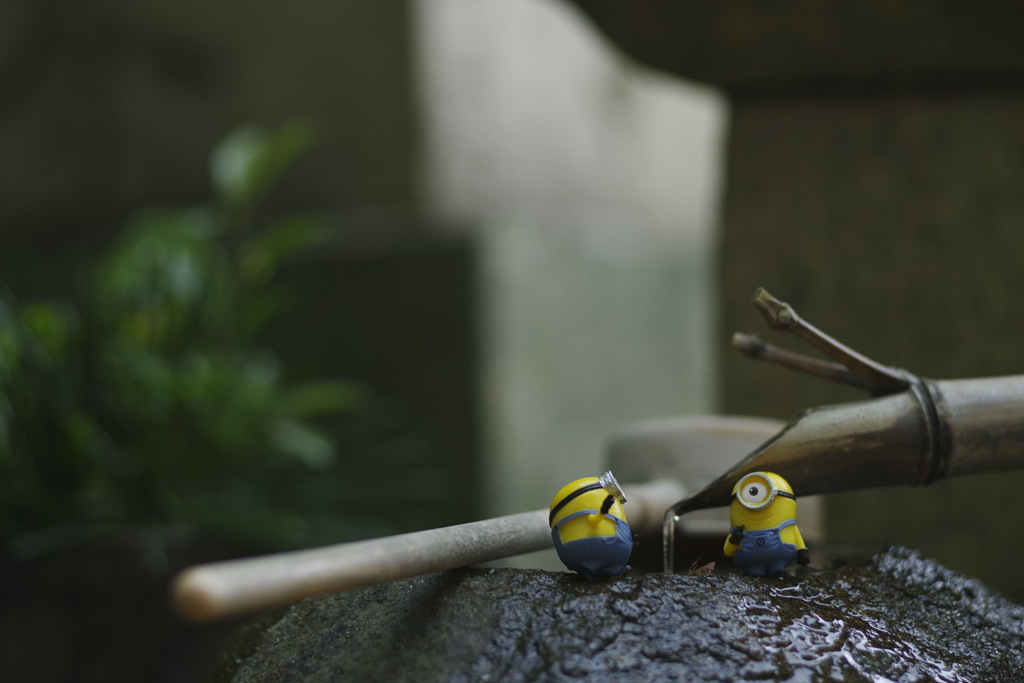 いっしょにさんぽ