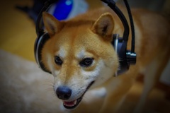 聴こえません…
