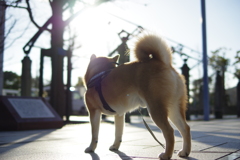 もうすぐ今日も終わっちゃうね