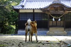 氏神様へのご挨拶