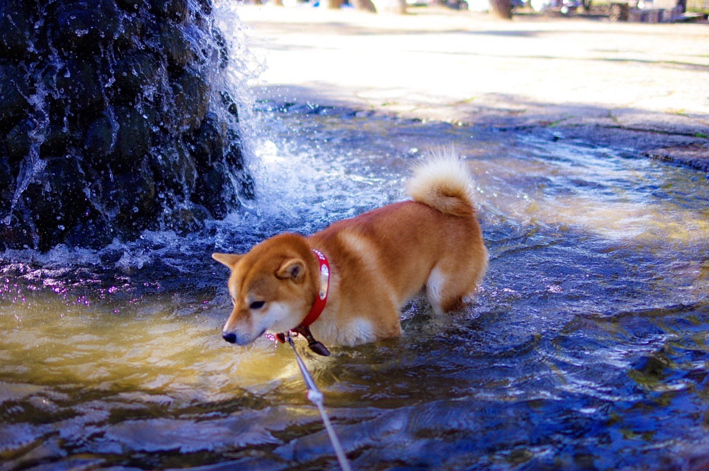 冬だって水遊び