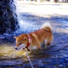 冬だって水遊び