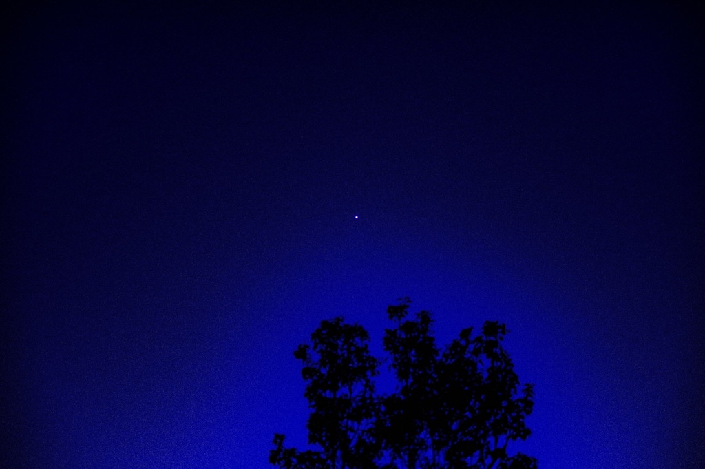 一番星み〜つけた。