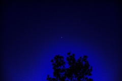 一番星み〜つけた。