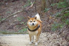 留守番ご苦労様