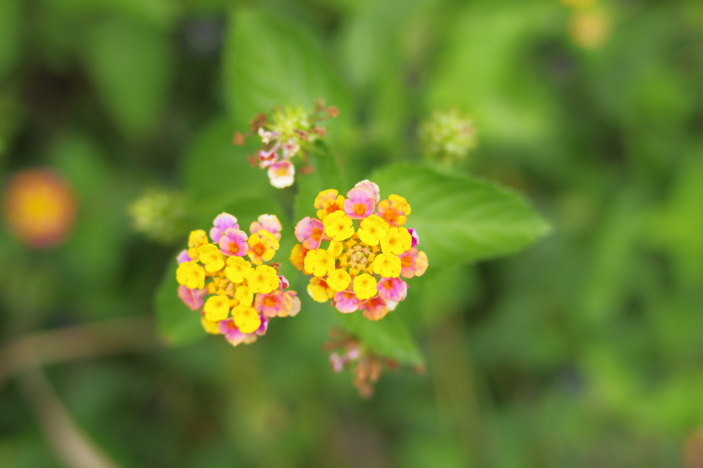 青と白の砂浜に