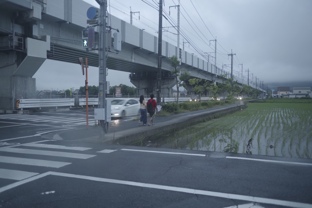大雨後の帰り道