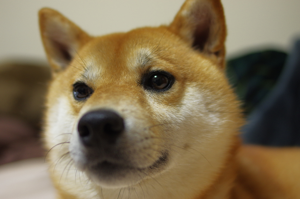 犯人はこの中にいる