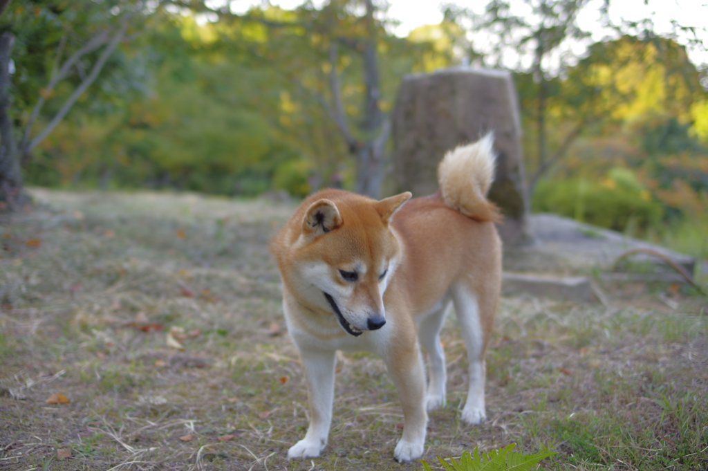 さぁ帰ろう