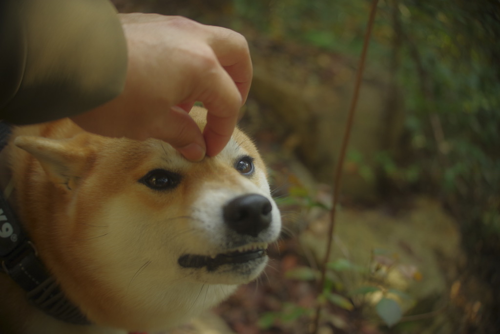ムキッ