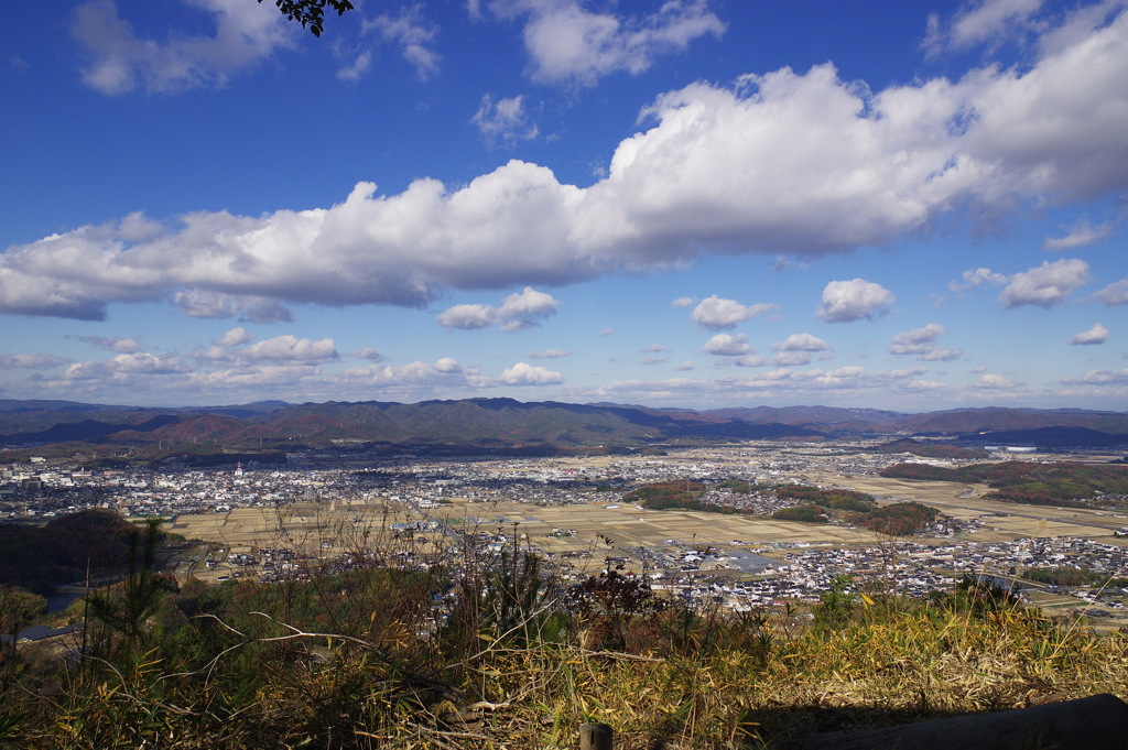 歩けば汗