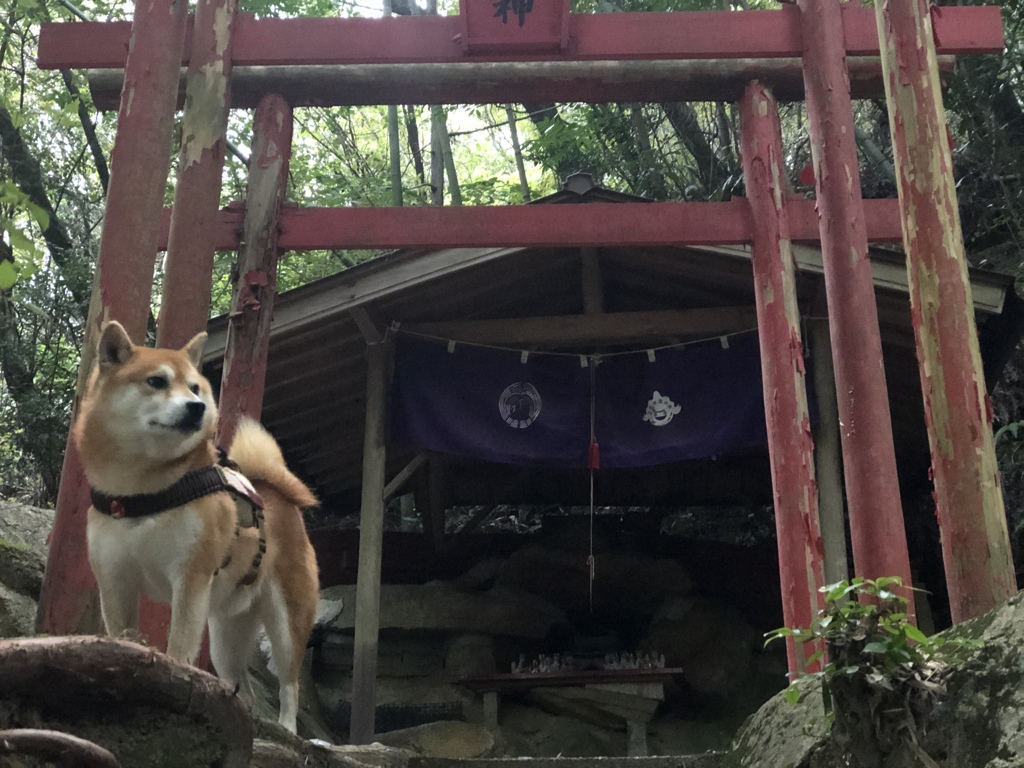 福寿様