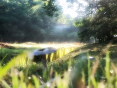 トンちゃんの冒険