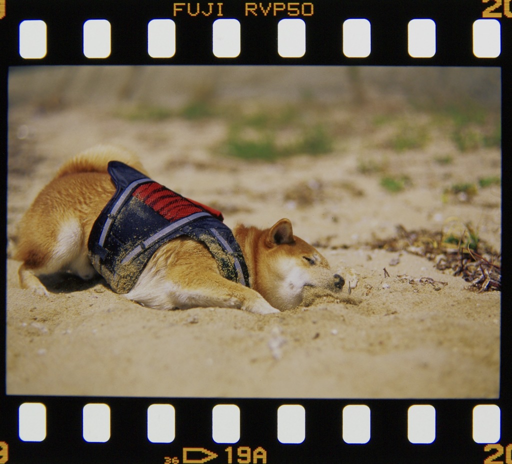 きもちんよか〜ぁ