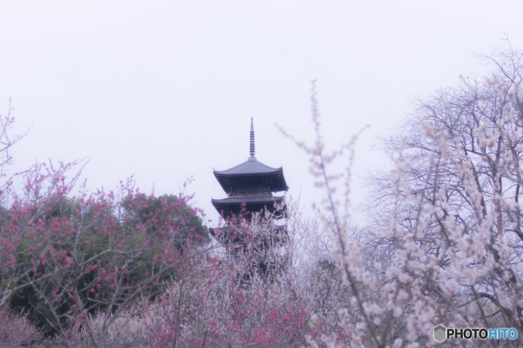備中国分寺2