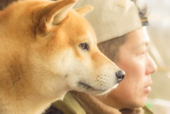 あの娘