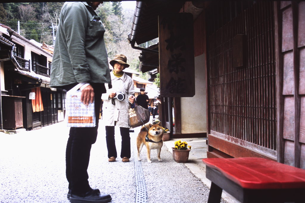 母と愛犬