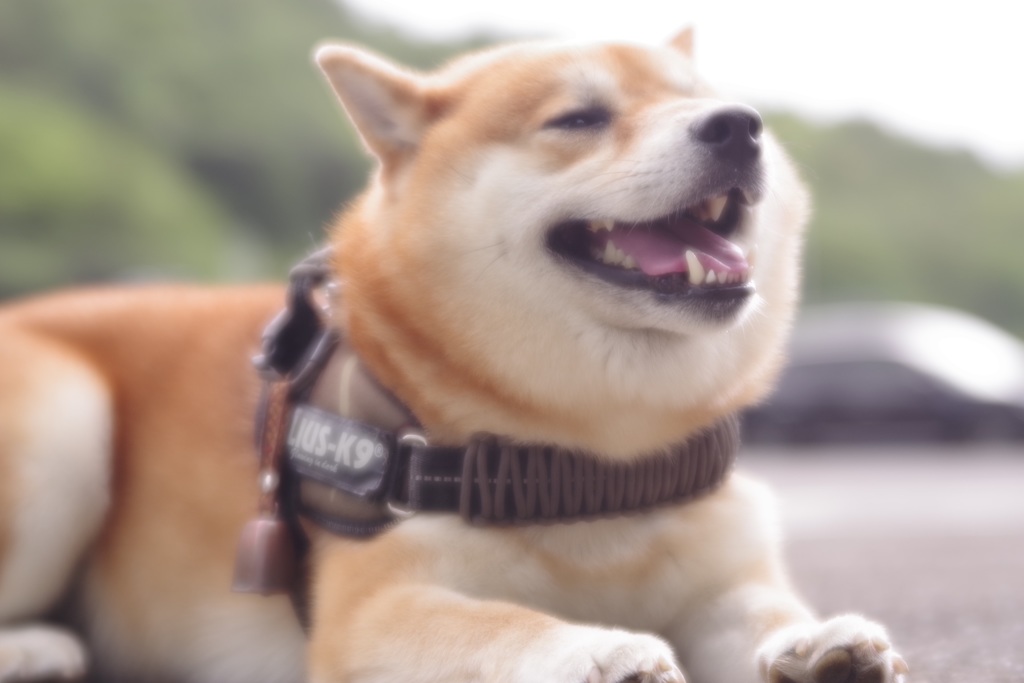暑い一日