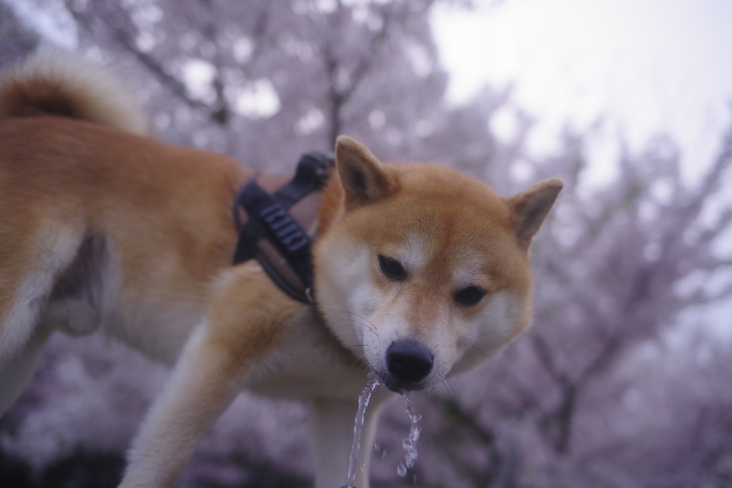 渇き