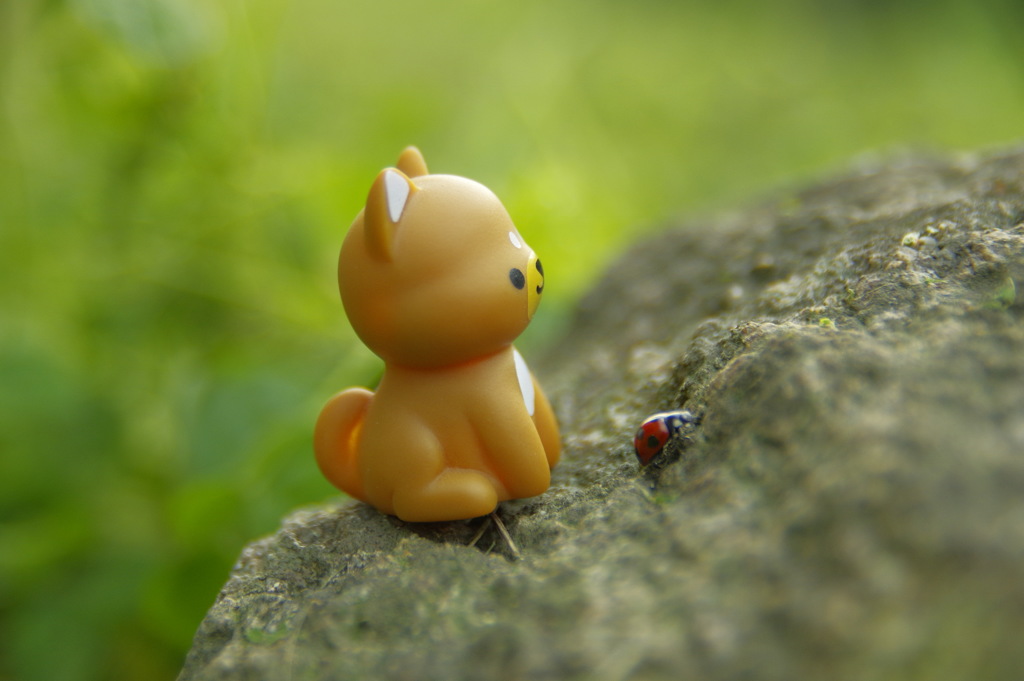てんとう虫のさんぽ