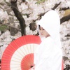 瀬戸の花嫁さん