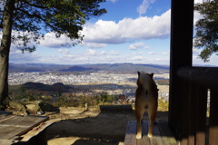 青い空