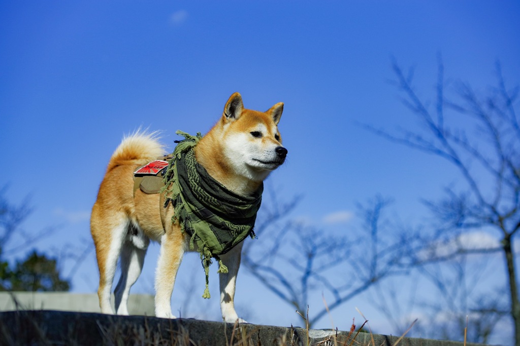 blue sky