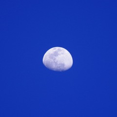 塩まんじゅう