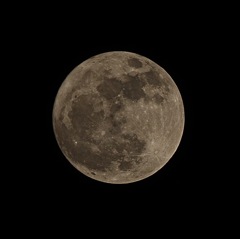 今度は暗いけど 最新のズーム