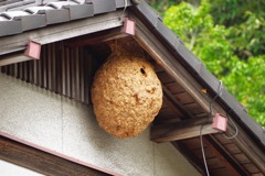 明るい時間帯