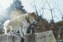 水だしてくださーい