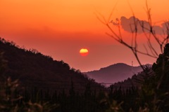 明日は月曜日