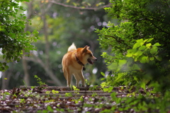 そっち ちゃうわ