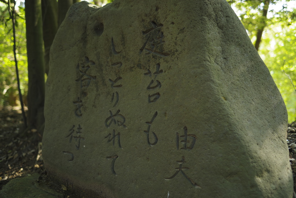 しっとり濡れて