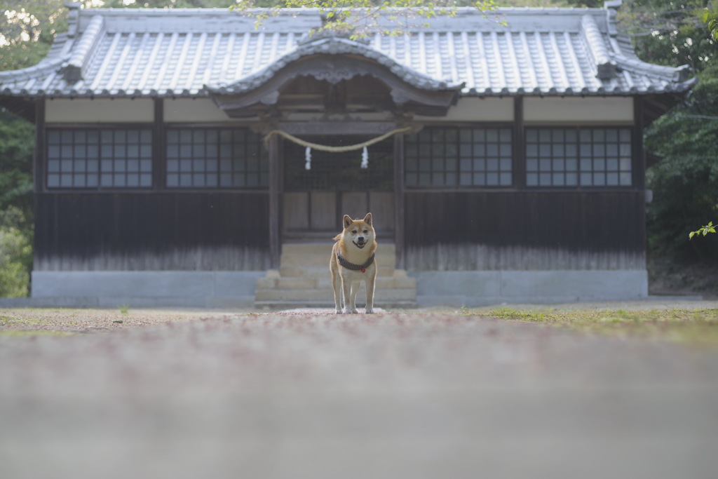 暑い1日の終わりに