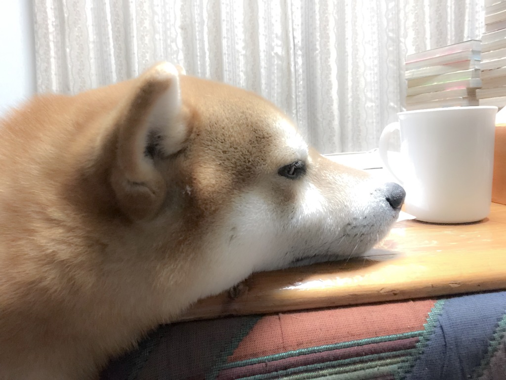 至福の時